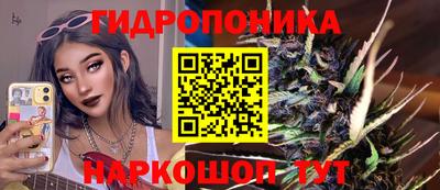 молекула духа Ливны