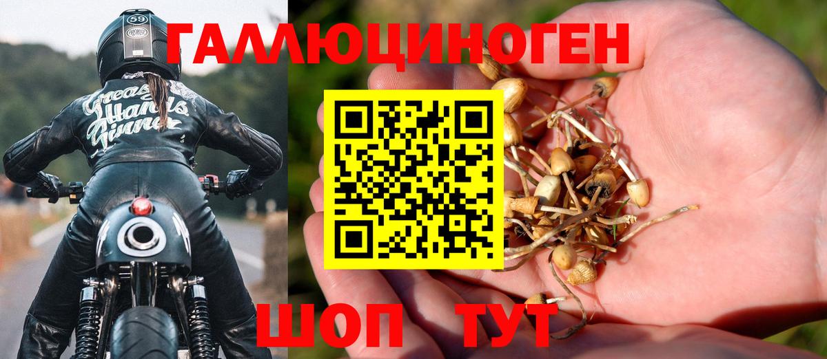 Псилоцибиновые грибы Magic Shrooms  Псилоцибиновые грибы Cubensis  Вход с VPN  купить   Туапсе 
